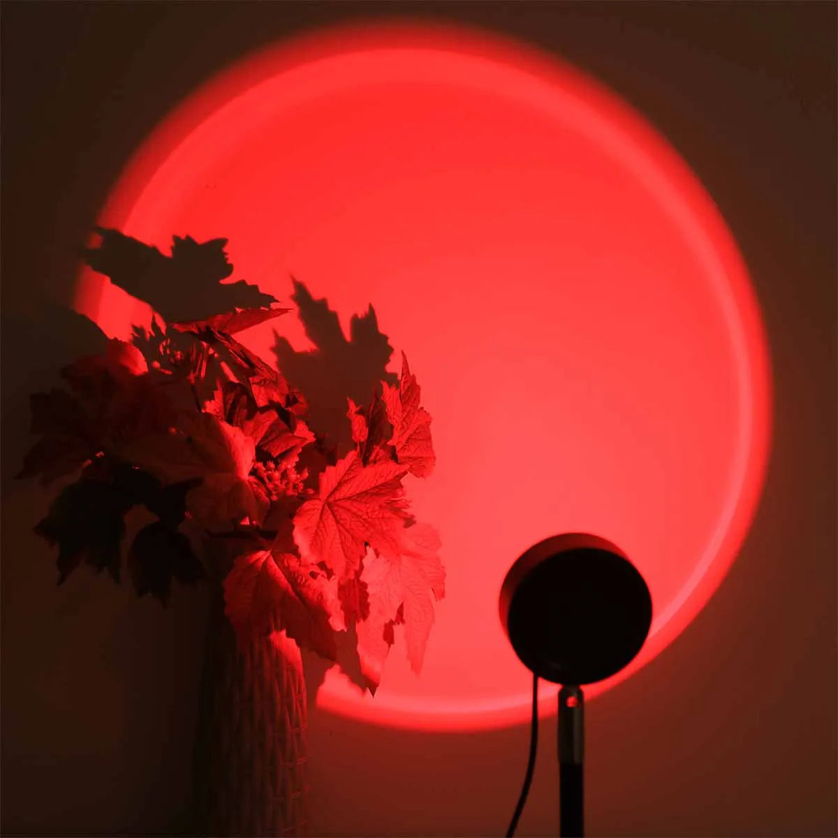 Sunset Projection Lamp shown from the front