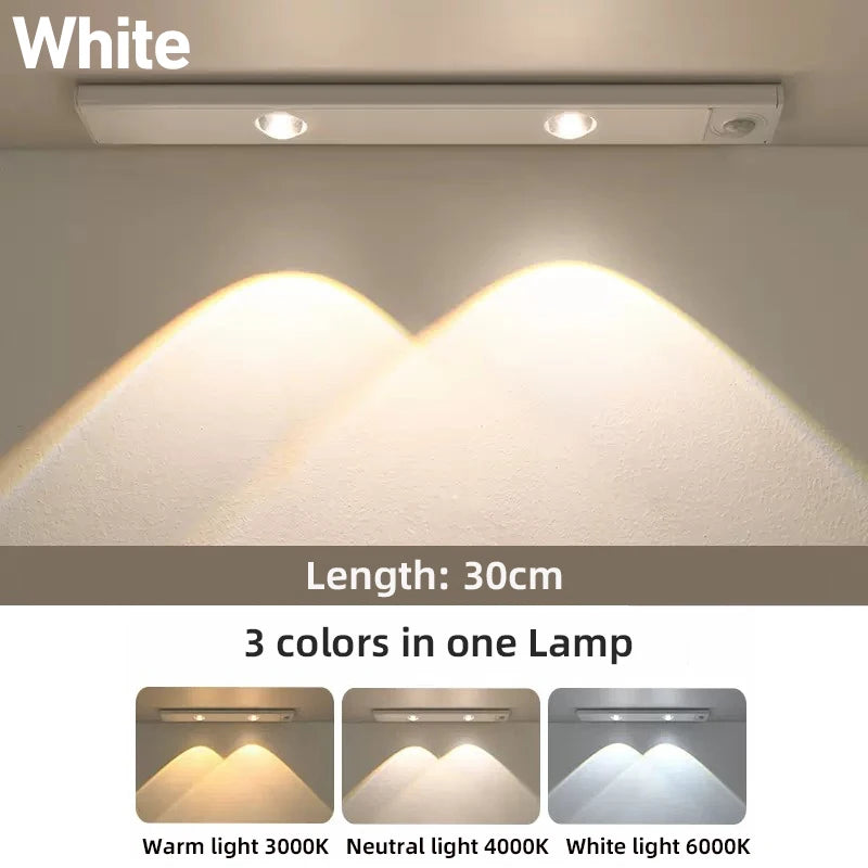 Motion Sensor Cabinet Light in black finish